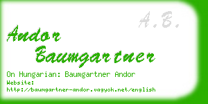 andor baumgartner business card